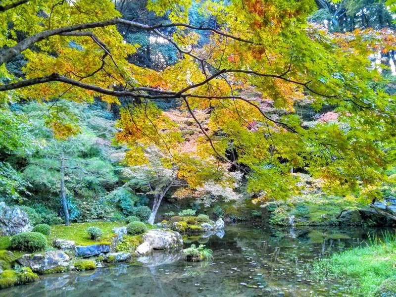 南禅寺 南禅院庭園４