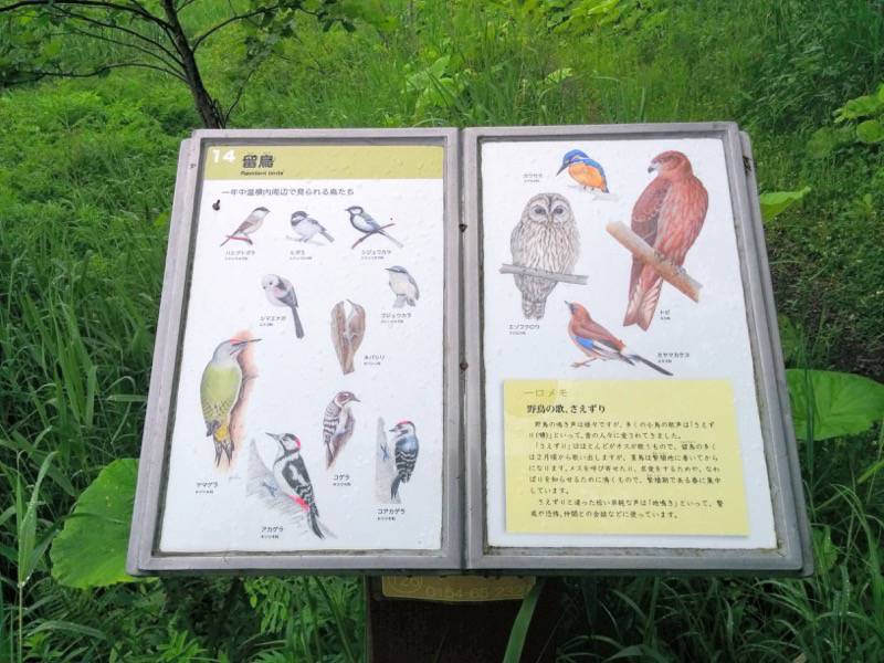 温根内木道14.jpg 温根内木道14