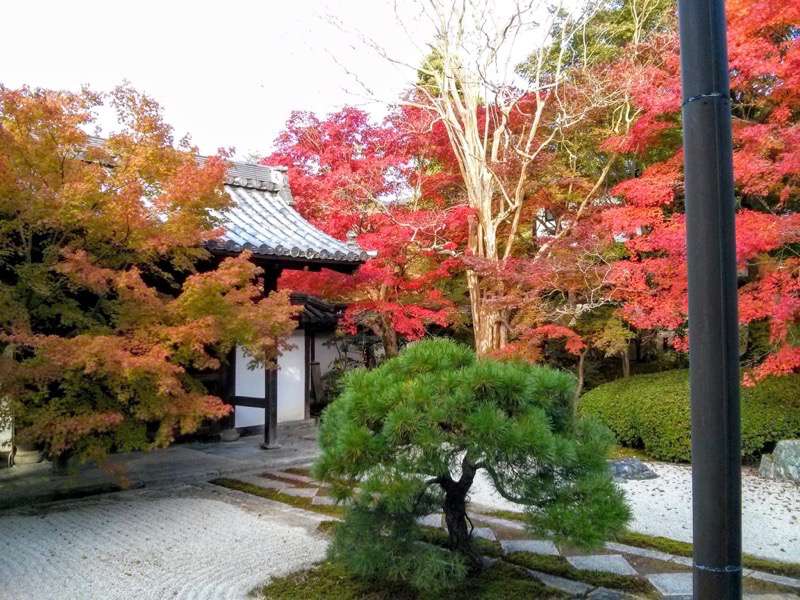 南禅寺 天授庵本堂前庭１