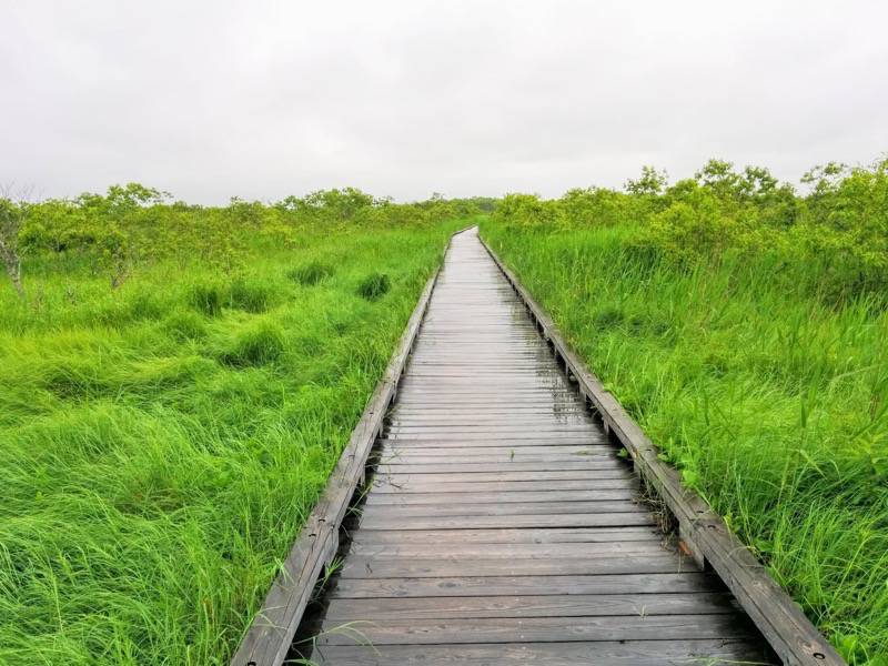 温根内木道4−1.jpg 温根内木道4−1