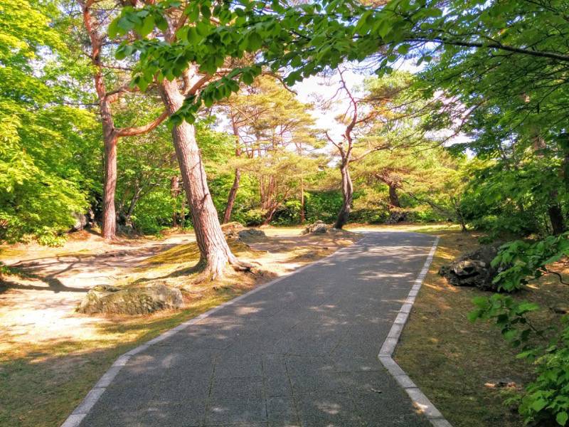 大沼公園-大島の路-東大島1.jpg 大沼公園 大島の路 東大島1