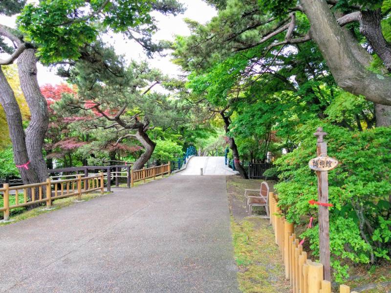 函館公園 園内歩道６