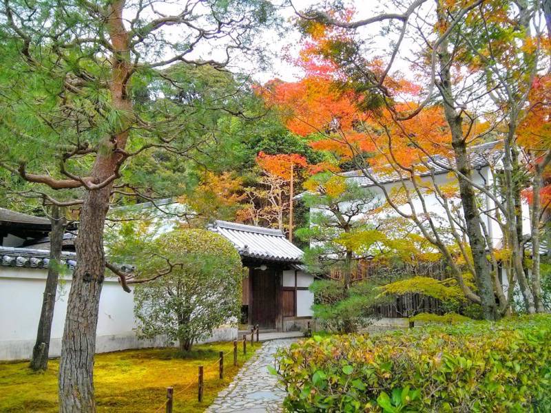 東福寺 龍吟庵入口