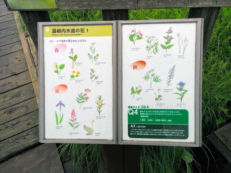 温根内木道3.jpg 温根内木道3