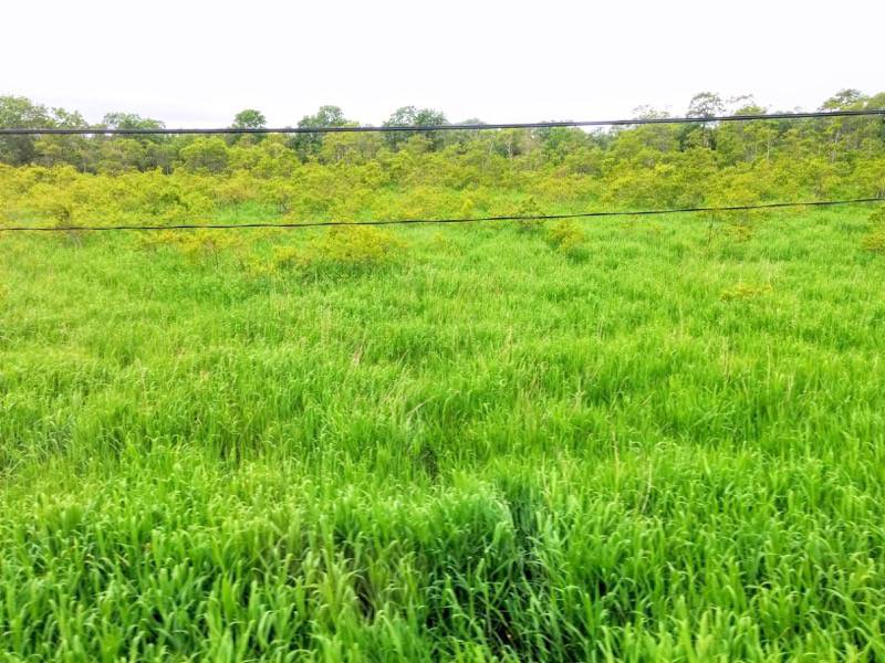 塘路駅・細岡駅間6.jpg 塘路駅 細岡駅間6