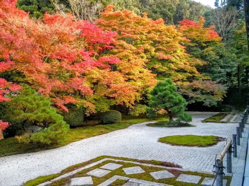 南禅寺 天授庵本堂前庭５