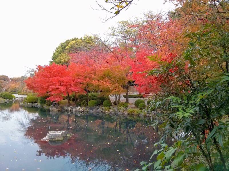 東寺 五重塔前の池２