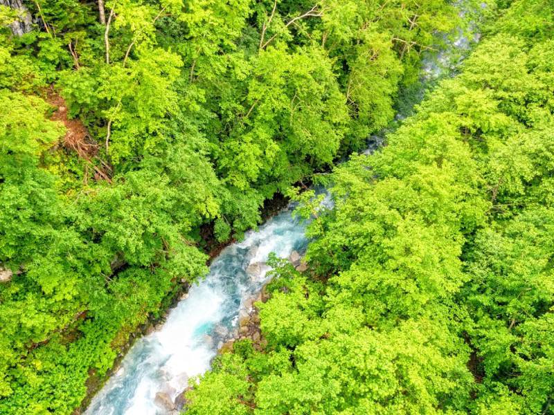 美瑛-滝のそばの流れ.jpg 美瑛 滝のそばの流れ