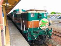 ノロッコ号で釧路湿原 細岡展望台へ｜北海道釧路市