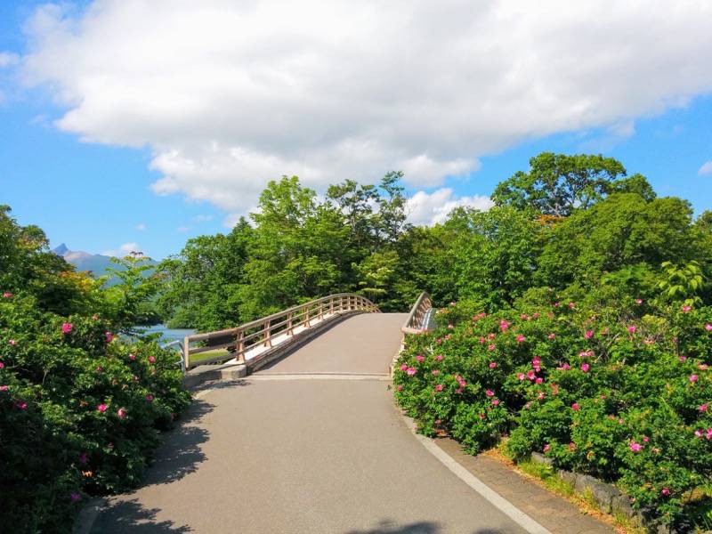 大沼公園-大島の路-西大島橋.jpg 大沼公園 大島の路 西大島橋