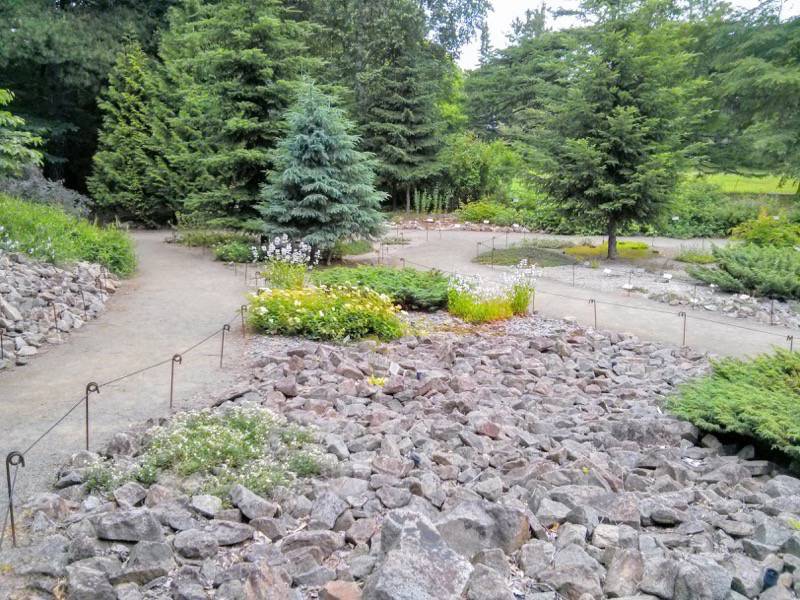 北海道大学植物園 カナディアンロックガーデン２