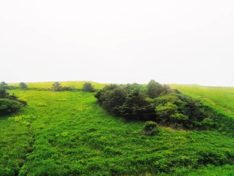 釧路〜根室-厚岸・根室間の湿原11.jpg 釧路 根室 厚岸 根室間の湿原11