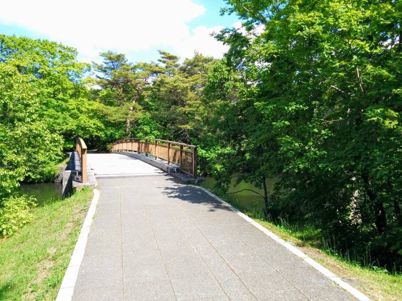 大沼公園-大島の路-東大島橋.jpg 大沼公園 大島の路 東大島橋