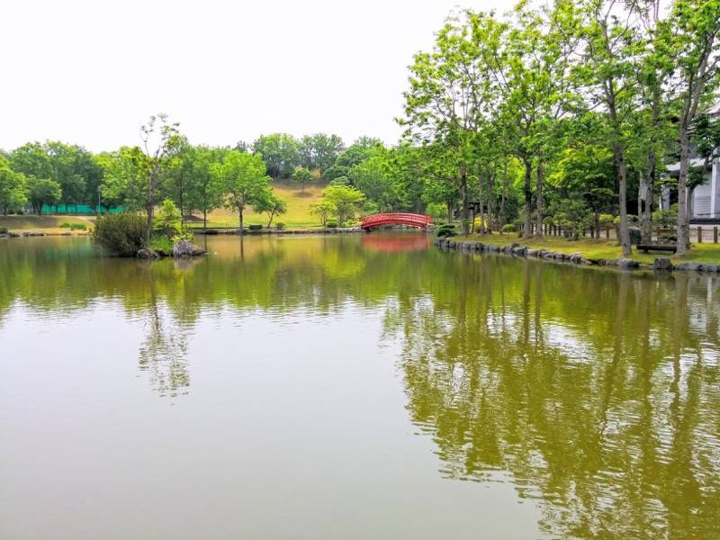 鶴ケ岱公園 ひょうたんの池２