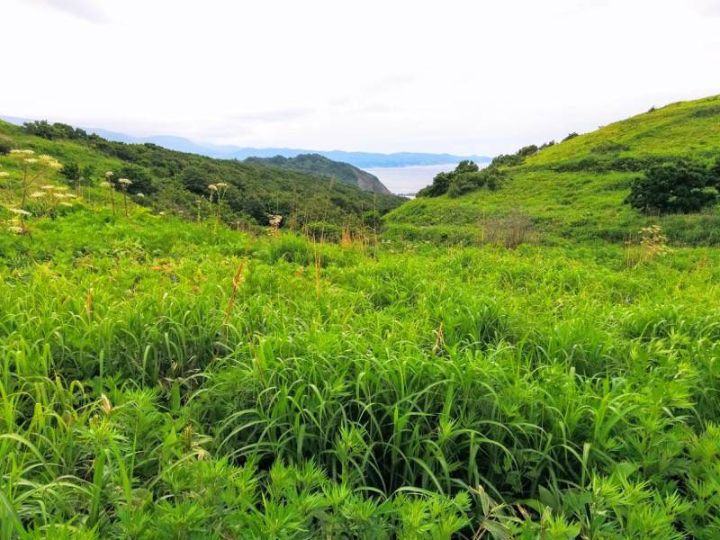 積丹岬 自然遊歩道１３