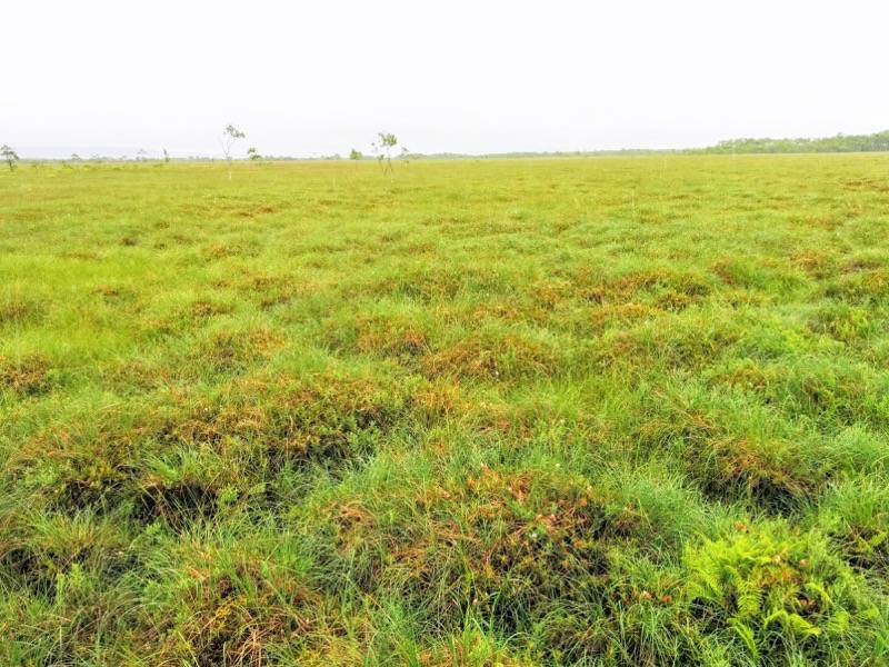 温根内木道7−8.jpg 温根内木道7−8