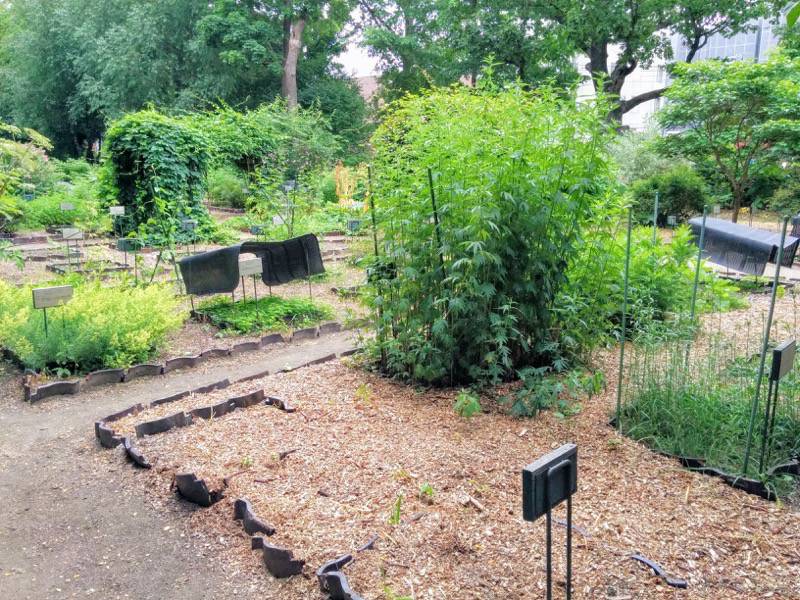 北海道大学植物園-北方民族植物標本園2.jpg 北海道大学植物園 北方民族植物標本園2