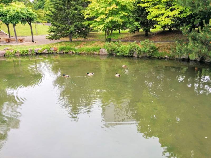中島公園 園内風景２２