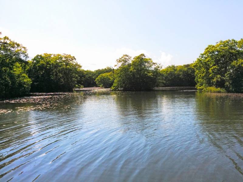 大沼公園-島巡りの路-公魚島より1.jpg 大沼公園 島巡りの路 公魚島より1
