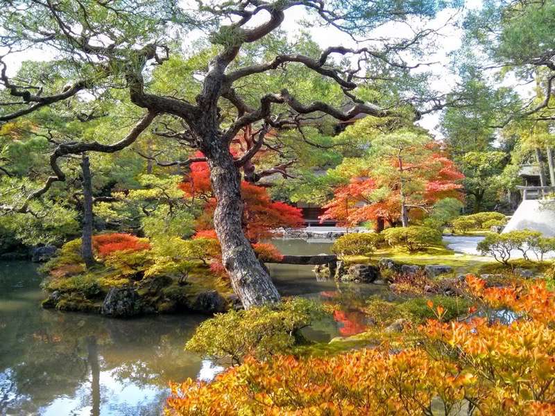 銀閣寺-迎仙橋.jpg 銀閣寺 迎仙橋