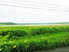 根室市街地から納沙布岬へ｜北海道根室市