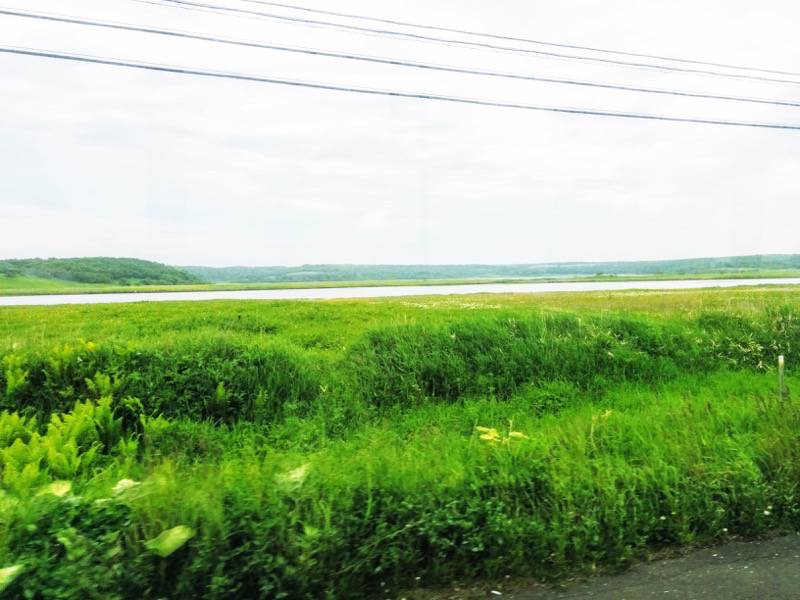 根室 納沙布岬間の景色３