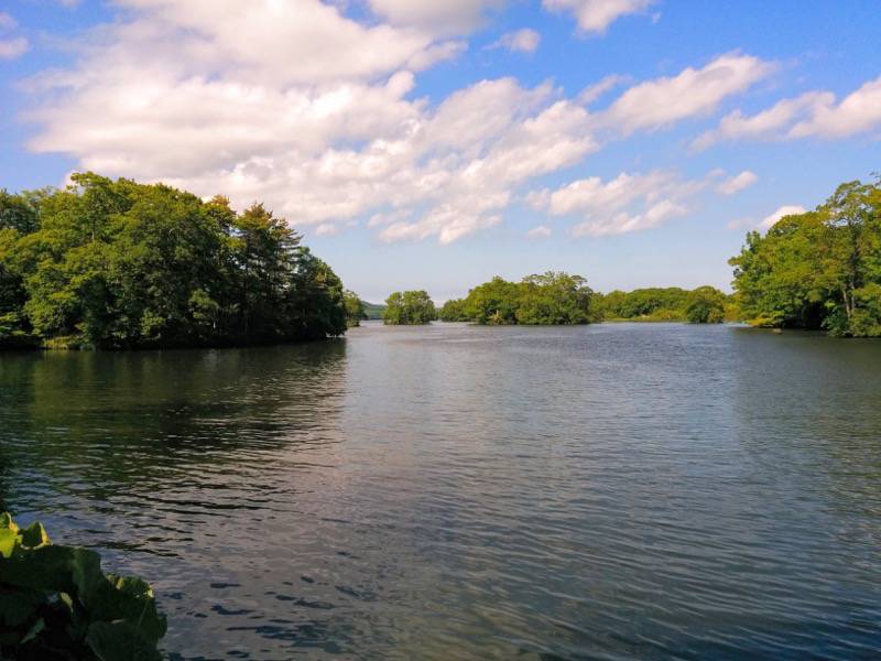 大沼公園-島巡りの路-後楽橋から公魚橋までより2.jpg 大沼公園 島巡りの路 後楽橋から公魚橋までより2