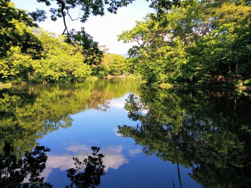 大沼公園-島巡りの路-湖畔に沿って歩こうの道6.jpg 大沼公園 島巡りの路 湖畔に沿って歩こうの道6