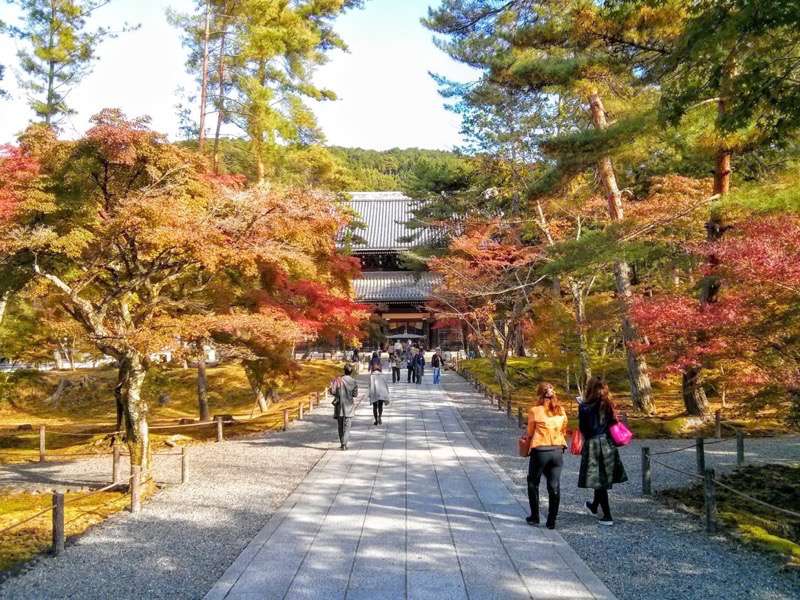 南禅寺 法堂への参道