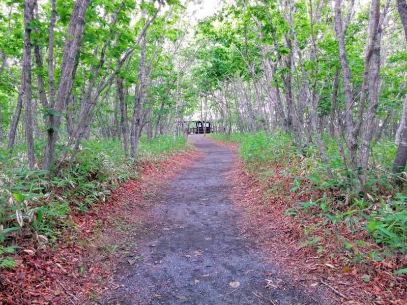 細岡ビジターズラウンジから展望広場2.jpg 細岡ビジターズラウンジから展望広場2