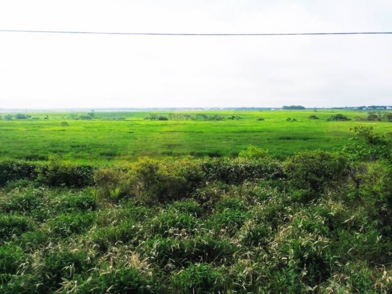 釧路〜根室-厚岸・根室間の湿原4.jpg 釧路 根室 厚岸 根室間の湿原4