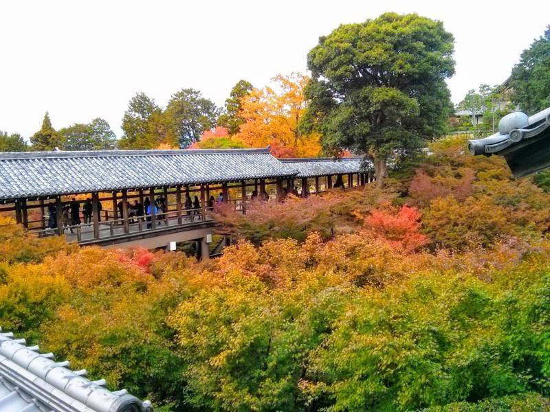 東福寺 方丈より通天橋