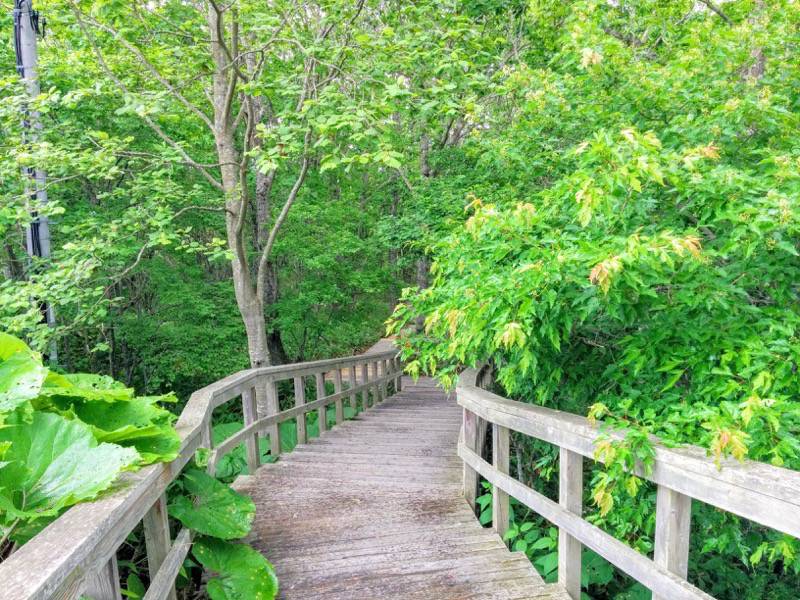 温根内ビジターセンターへ1.jpg 温根内ビジターセンターへ1