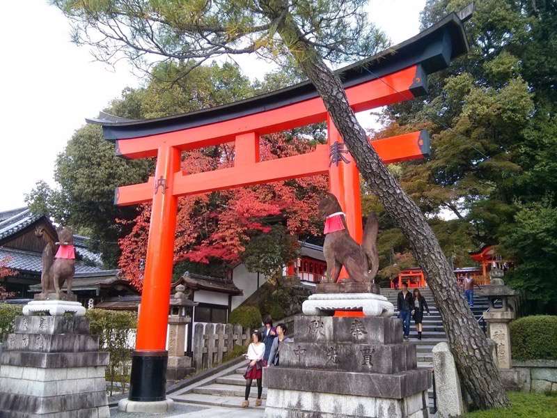 伏見稲荷 奥社奉拝所への参道と鳥居１