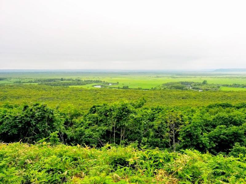 細岡展望台からの眺め2.jpg 細岡展望台からの眺め2