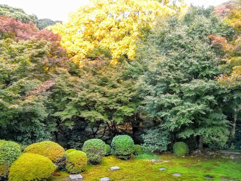 東福寺 本坊庭園北庭２