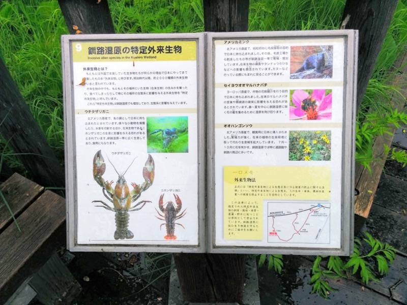 温根内木道9.jpg 温根内木道9