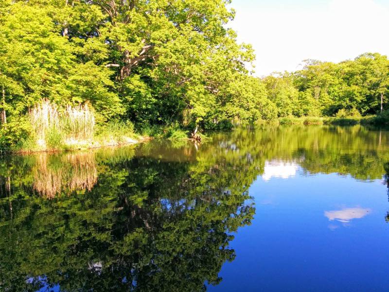 大沼公園-島巡りの路-湖畔に沿って歩こうの道5.jpg 大沼公園 島巡りの路 湖畔に沿って歩こうの道5