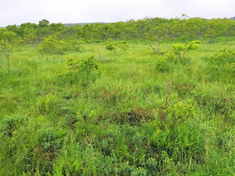 温根内木道8−4.jpg 温根内木道8−4