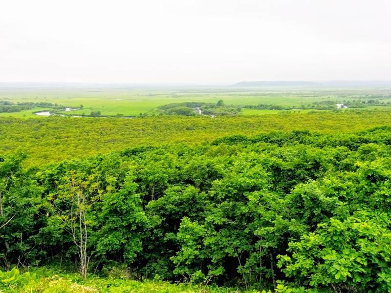 細岡展望台からの眺め7.jpg 細岡展望台からの眺め7