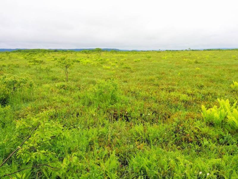 温根内木道7−1.jpg 温根内木道7−1