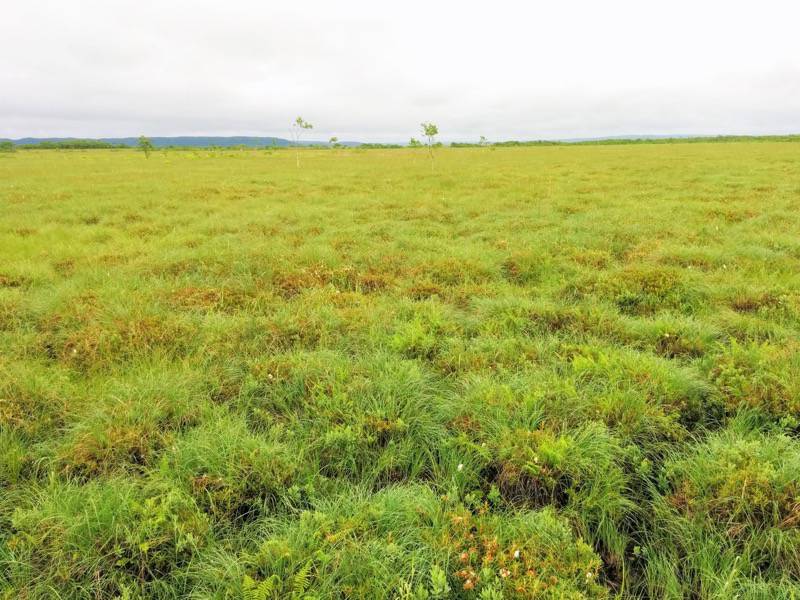 温根内木道7−11.jpg 温根内木道7−11