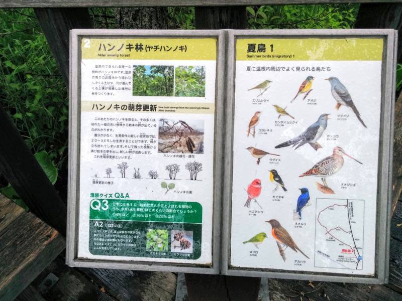 温根内木道2.jpg 温根内木道2