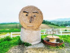新栄の丘からなだらかな丘｜北海道美瑛町