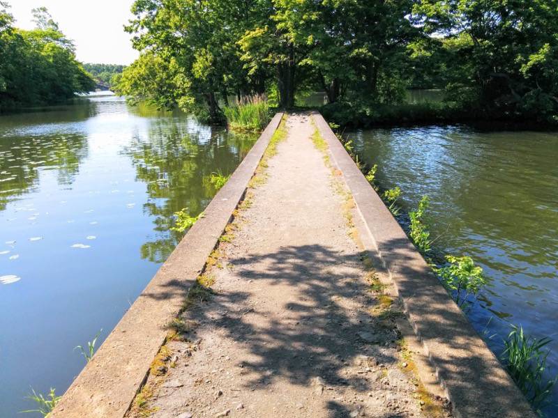 大沼公園-島巡りの路-長島園路護岸.jpg 大沼公園 島巡りの路 長島園路護岸