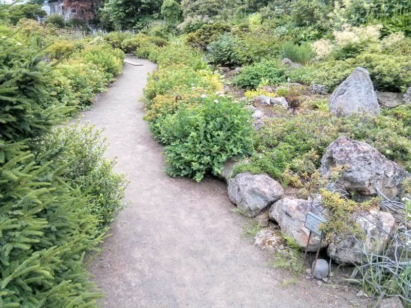 北海道大学植物園 カナディアンロックガーデン８