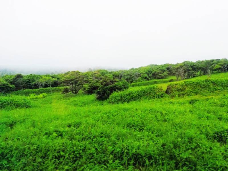 釧路〜根室-厚岸・根室間の湿原8.jpg 釧路 根室 厚岸 根室間の湿原8