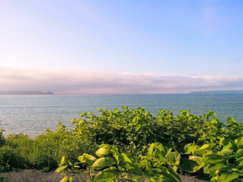 釧路〜根室-厚岸の海1.jpg 釧路 根室 厚岸の海1