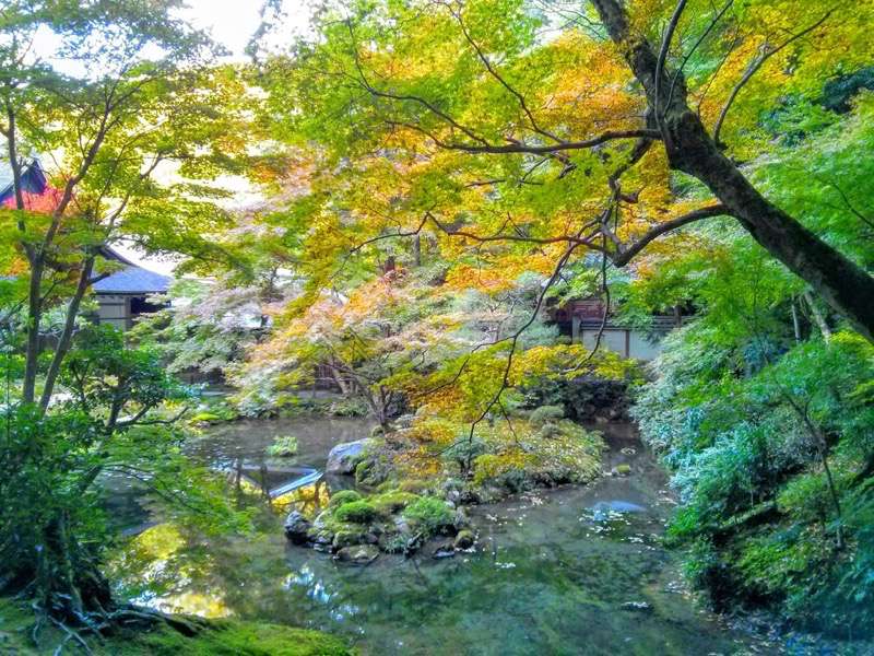 南禅寺 南禅院庭園８