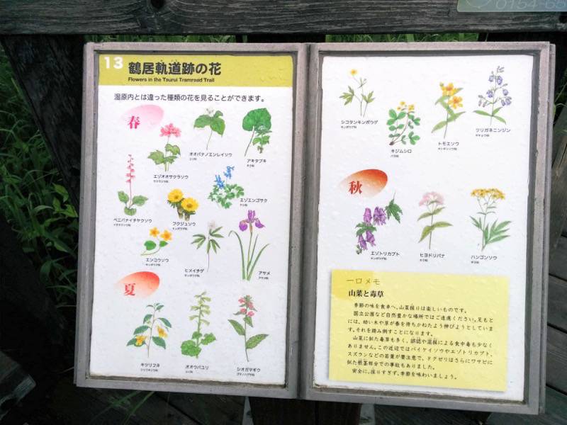 温根内木道13.jpg 温根内木道13